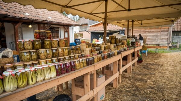 produse traditionale